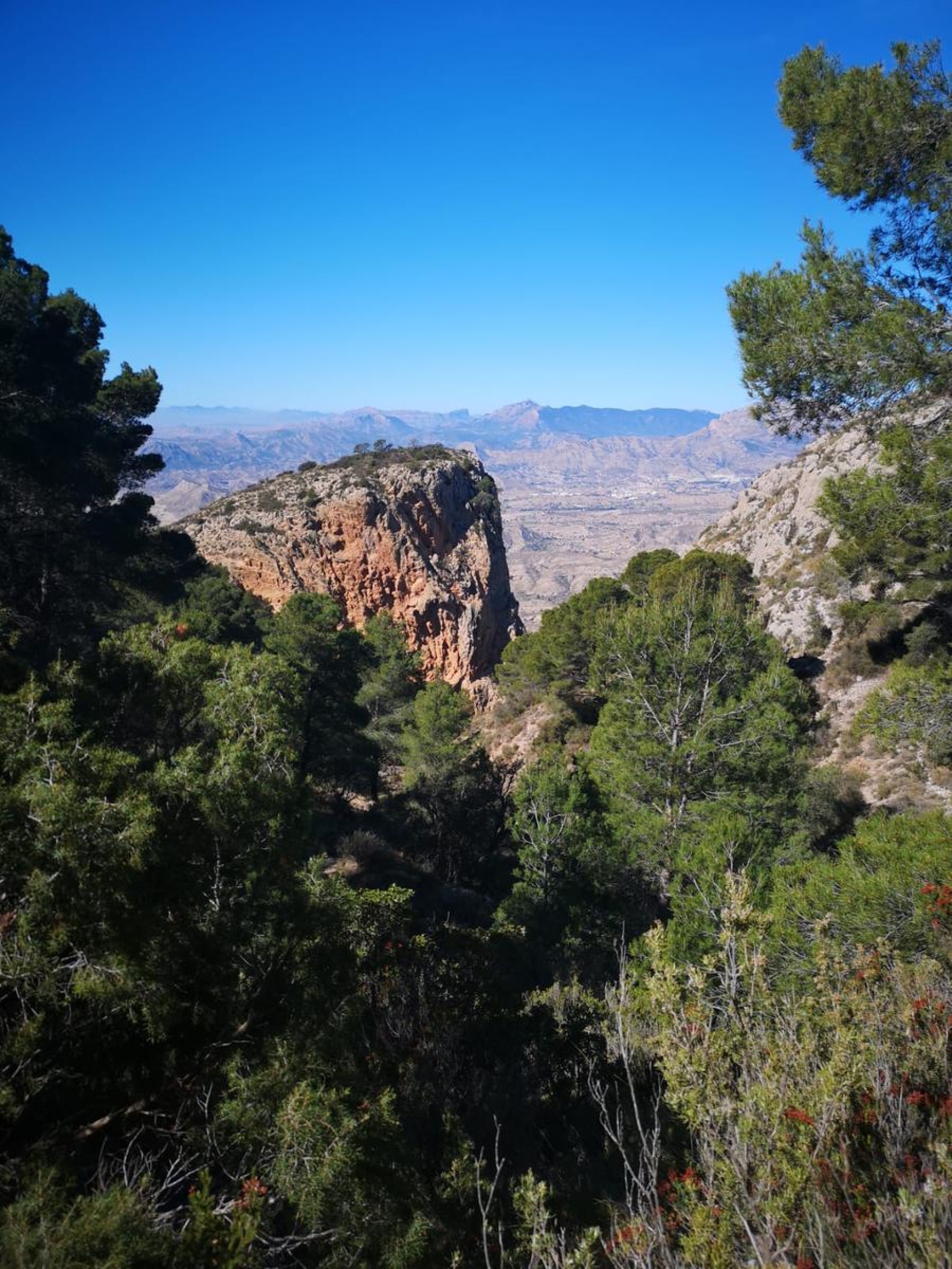 Observación astronómica en Cabo de las Huertas Starlight