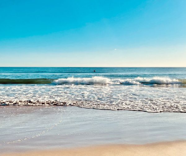 Curso de iniciación al Surf