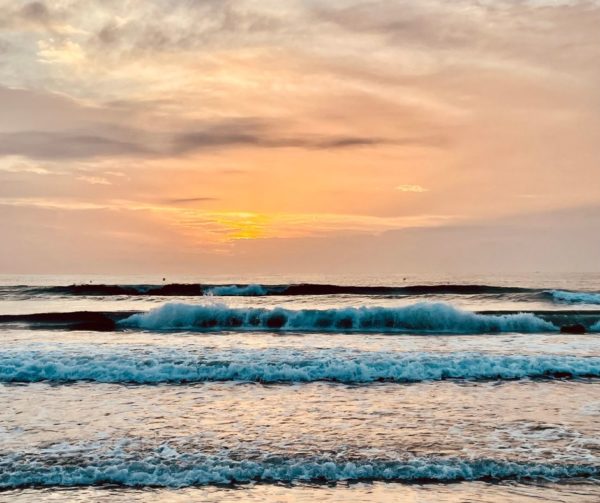 Curso de iniciación al Surf