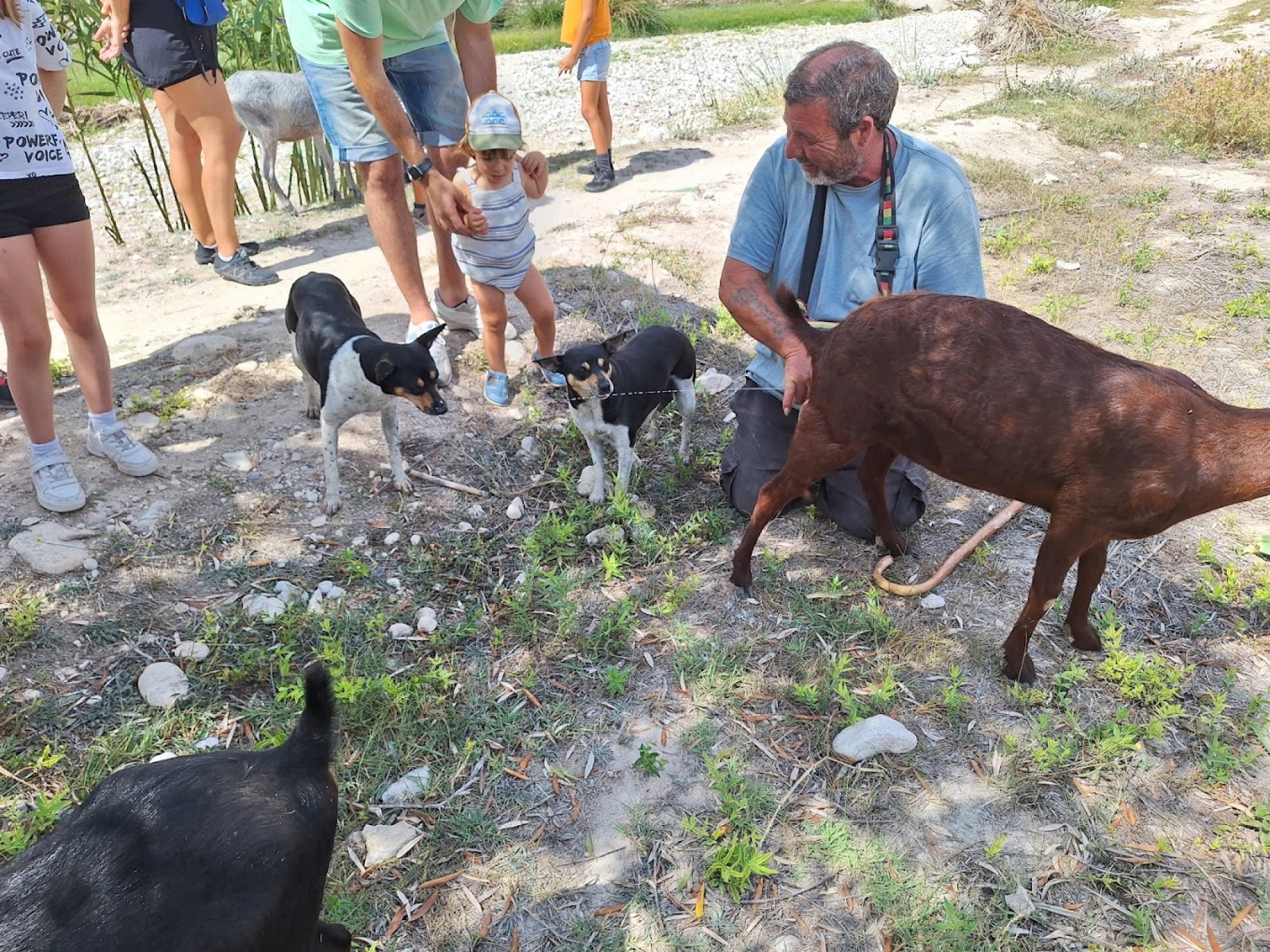 Tour visita al Pantano de Tibi y taller de queso de Alicante